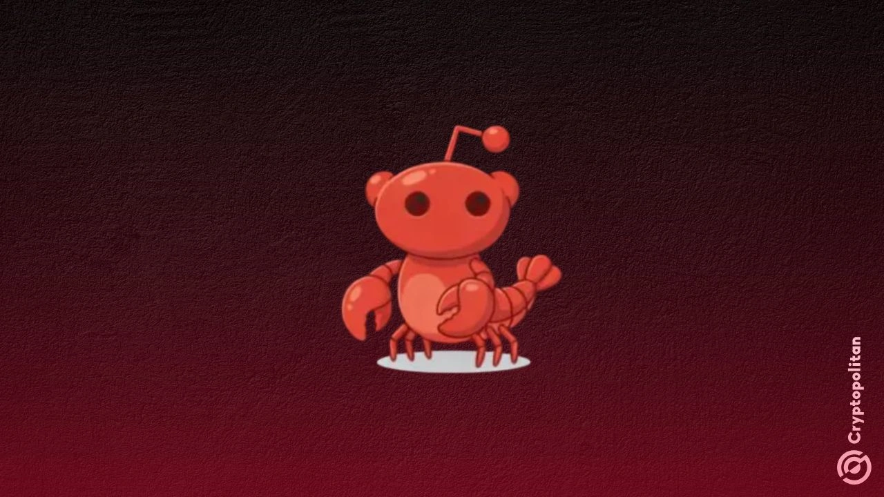 The Story of Moltbook